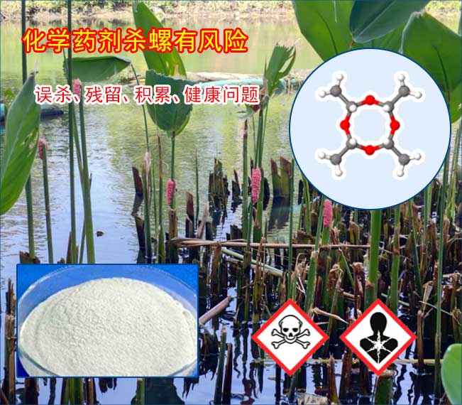 化学杀螺，农药进入食物链，潜在危害长远