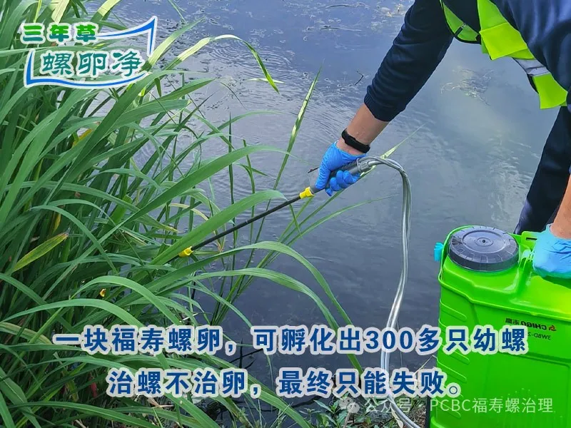 1控制福寿螺卵块孵化
