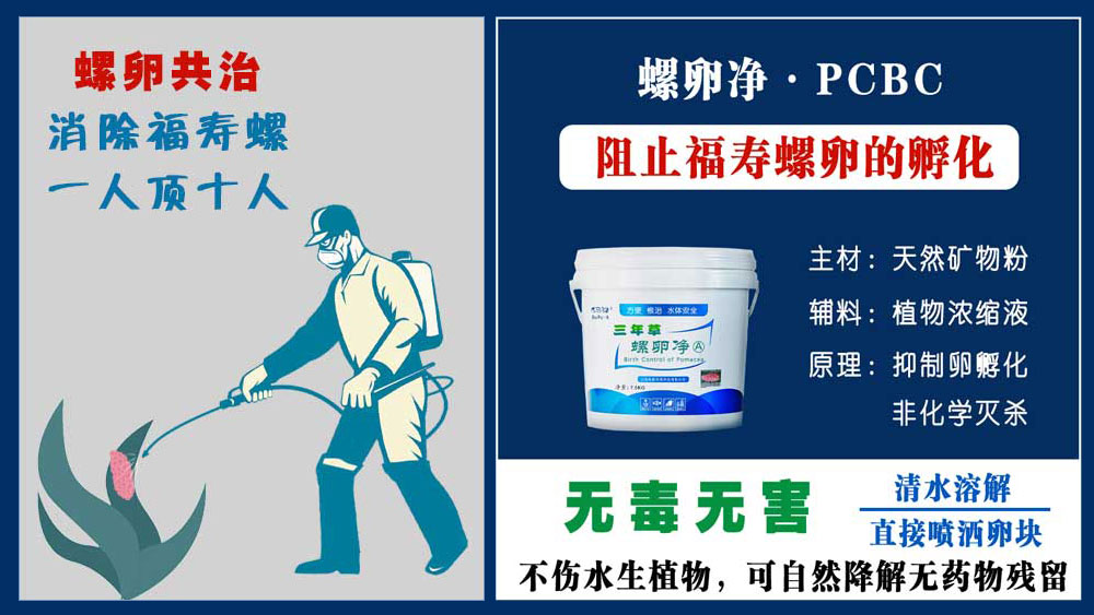 螺卵净，是一种新型生物防治福寿螺的有效途径