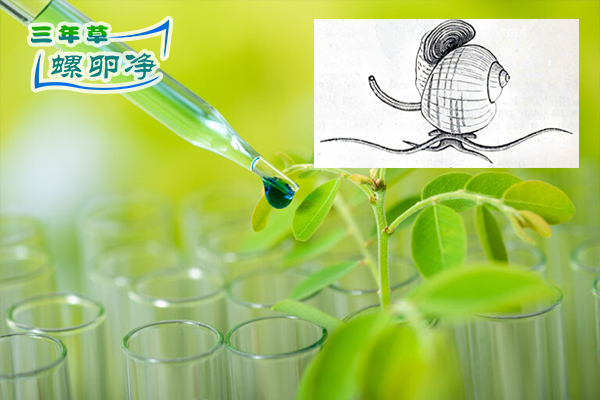 植物提取物对福寿螺的抑制效果研究