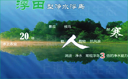 浮田型生态浮岛