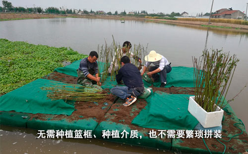 漂浮湿地安装非常简便