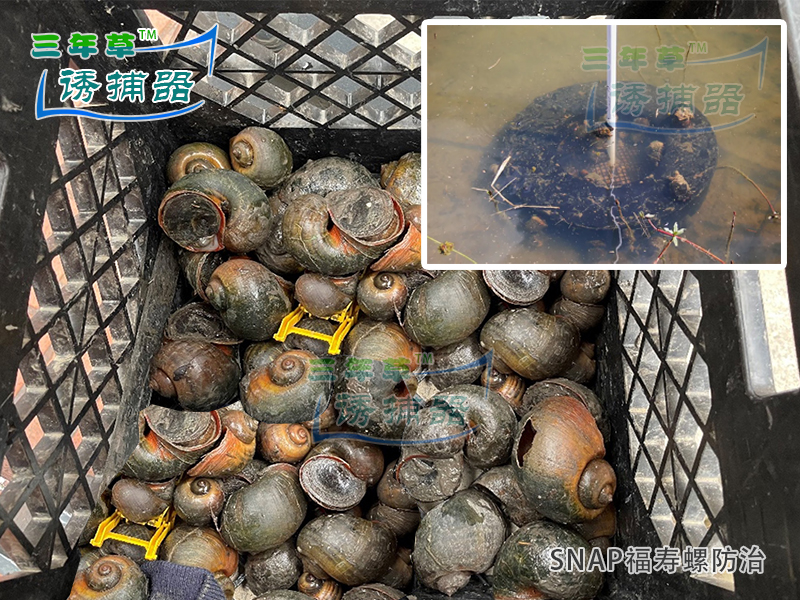 福寿螺诱捕器