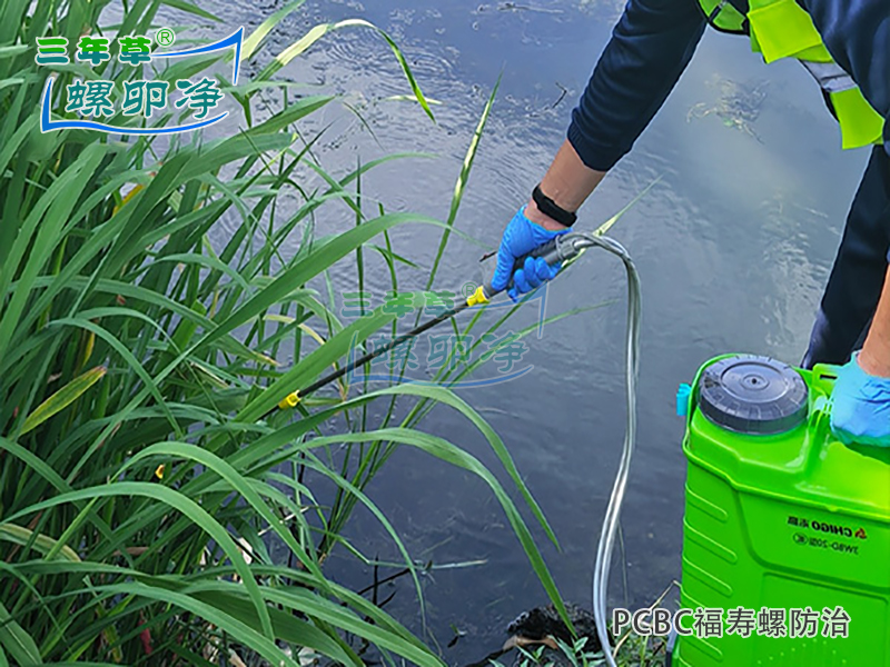 2螺卵净采用植物提取液膜灭卵技术清理福寿螺卵
