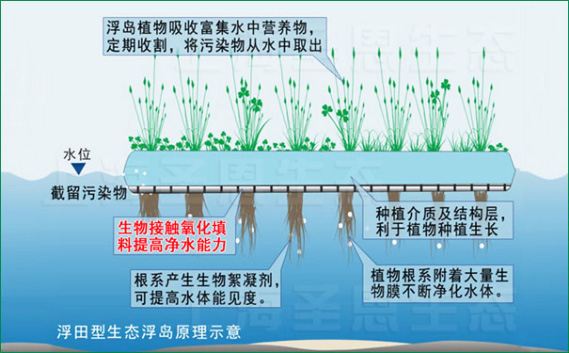 浮田型浮动湿地采用浮力载体与湿地填料一体化技术