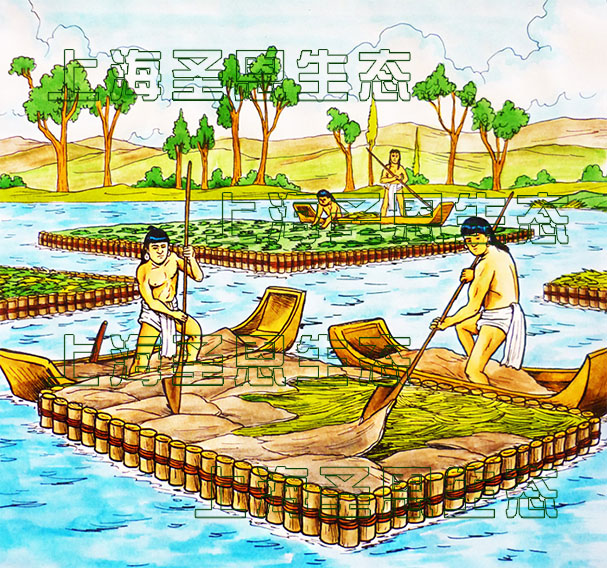 古人在水中种植浮田型漂浮湿地