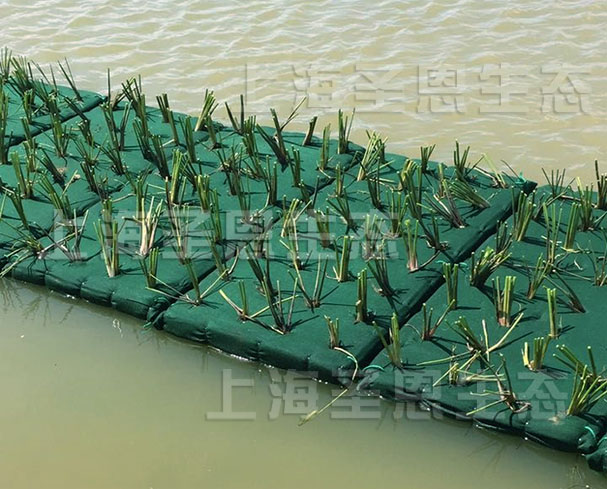 高分子纤维浮动湿地无需种植篮、无需二次补种，维护成本低