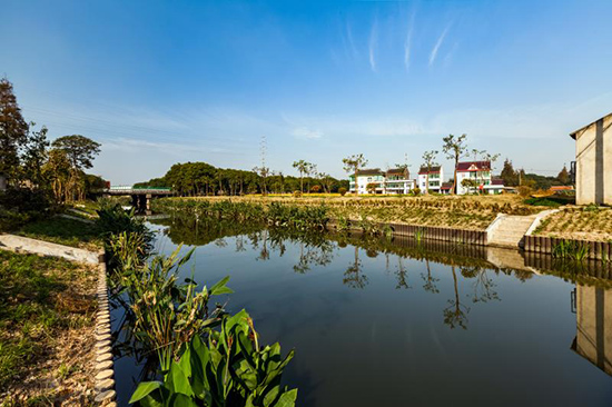 整治后的小庙港-金山完成185条段河道整治任务 已基本消除黑臭