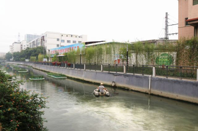 生态浮岛_浮田型漂浮湿地