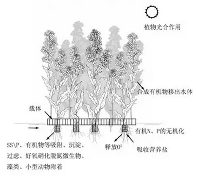 生态浮岛原理