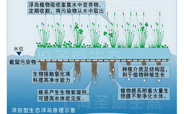 浮田型生态浮岛