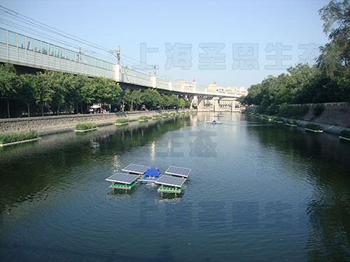 天津设置生态浮岛，美化中心城区河道，总面积达1.2万平方米