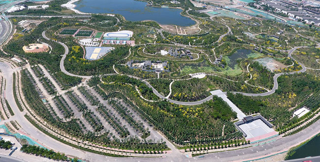 1侯台生态湿地公园是天津市重点打造“每一寸土地都可以自由呼吸”的公园。