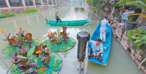 温州：生态修复-河道变风景