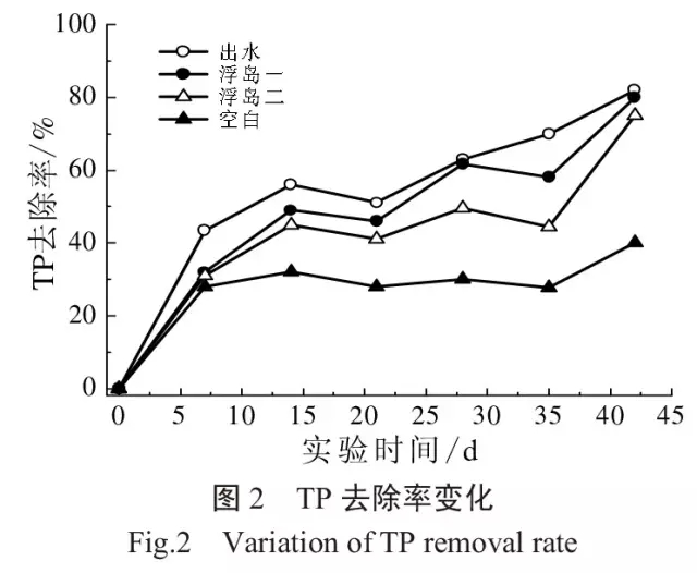 3TP去除率随处理时间的变化如图2