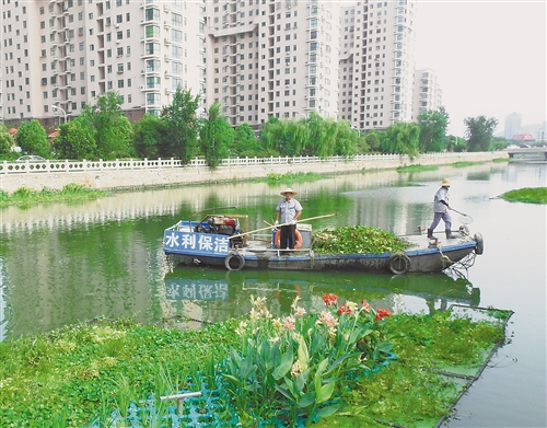 保洁人员在给生态浮岛清理杂草美化河道