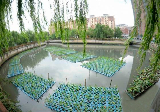 1塑料浮盘生态浮岛装扮大雁河