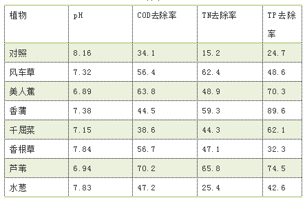 表3 污水停留第五天不同植物对污水中各污染物的去除效果