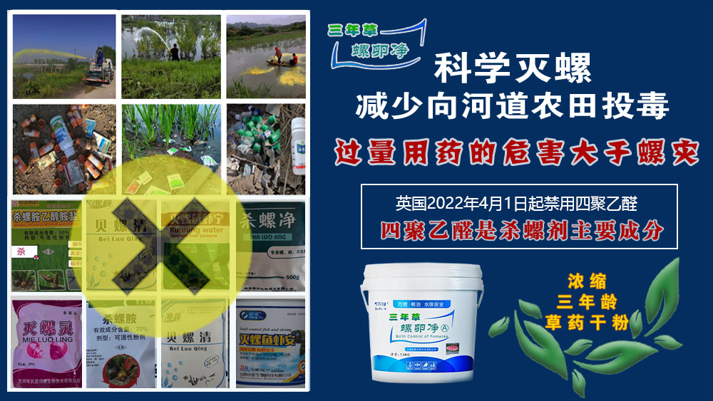 福寿螺：危害与防控策略全解析
