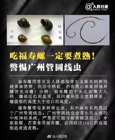 如果生吃或食用加热不彻底的福寿螺螺肉，极易引起食源性广州管圆线虫病，感染此病，线虫幼虫会入侵人脑，损害中枢神经系统，引起嗜酸细胞增多性脑膜炎，症状有头痛、发热、颈部僵硬等，严重者可致痴呆甚至死亡。