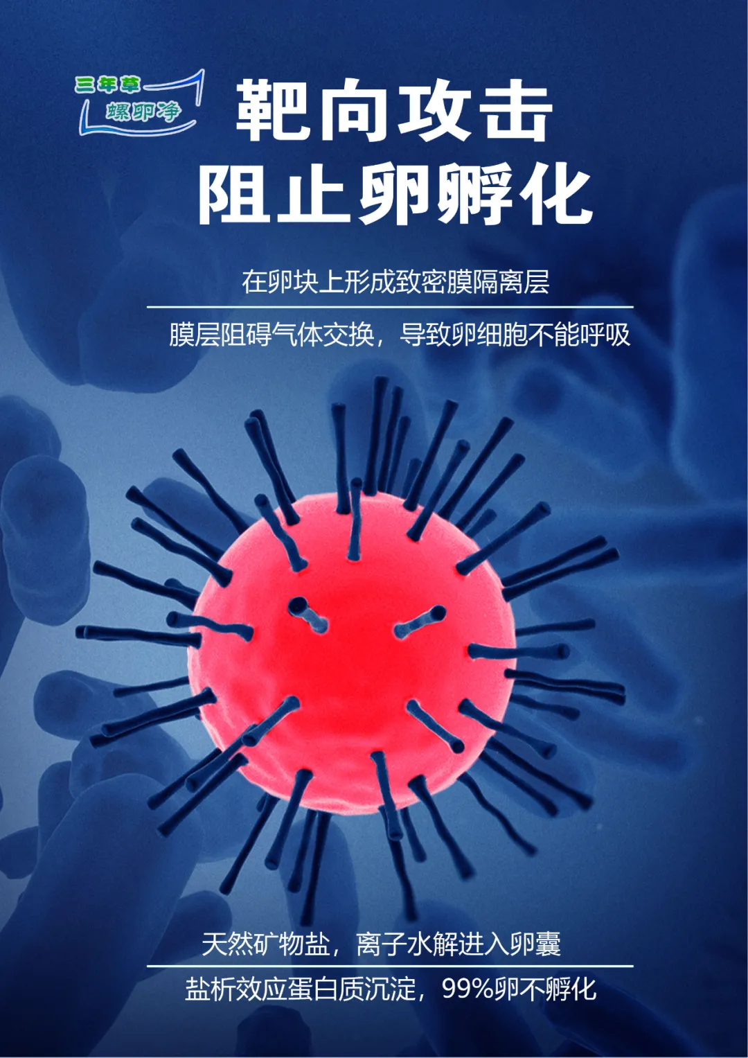 实现“螺卵共治”的有效方式是喷洒“螺卵净”，这个方法已经在很多地方实施，效果明显，能有效控制福寿螺及卵的孵化
