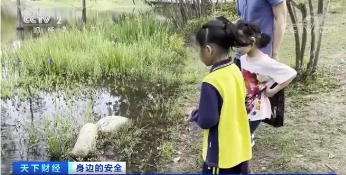 福寿螺侵扰，专家推荐使用“螺卵净”3