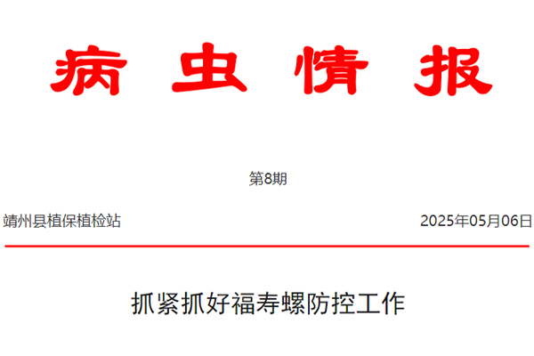 病虫情报(2025-8) 核心任务：全力抓好福寿螺防控关键期工作