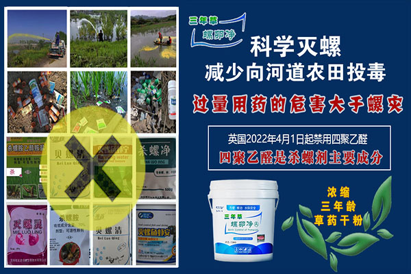 福寿螺：危害与防控策略全解析