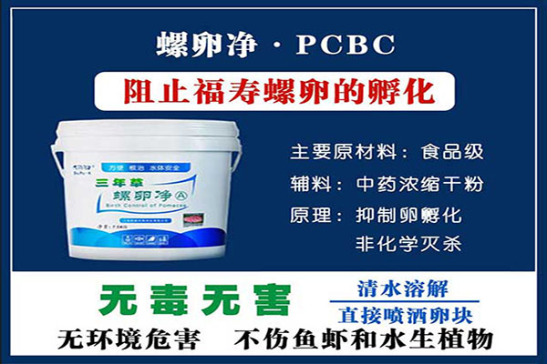 利用“螺卵净”有效清理福寿螺