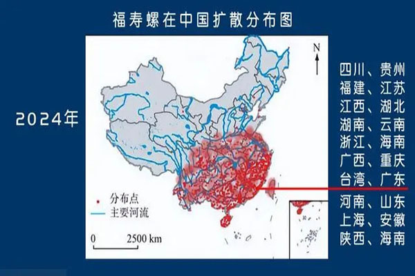福寿螺侵扰，专家推荐使用“螺卵净”