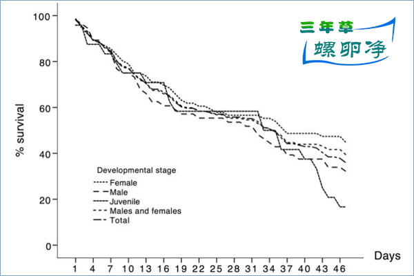 福寿螺的生存奇迹：活埋47天，泡水一天“满血复活”3