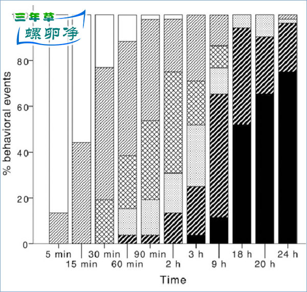 福寿螺的生存奇迹：活埋47天，泡水一天“满血复活”2