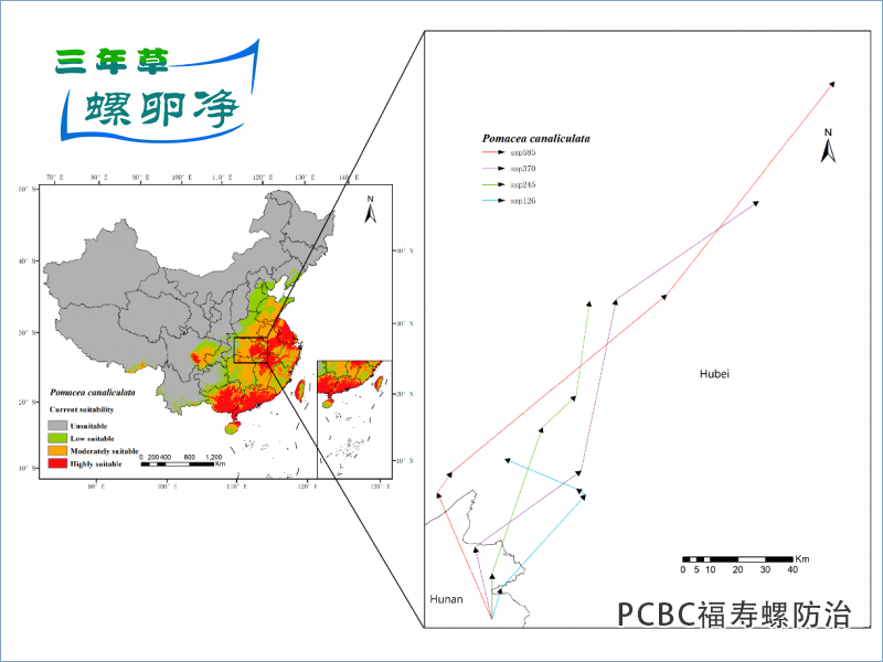 3气候变暖驱动福寿螺北移
