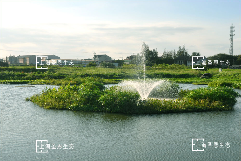 浮田型浮动湿地与曝气机组合使用，净水效果更明显