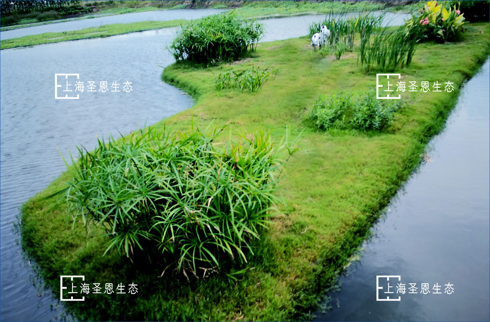 浮田型浮动湿地可以做成不同景观造型