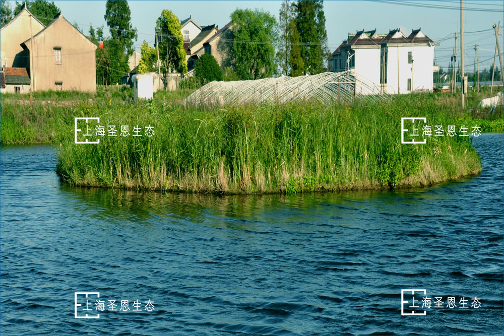 浮田型浮动湿地，底部悬挂填料提高净水能力