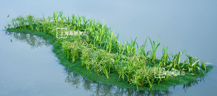 漂浮湿地治理城市河道