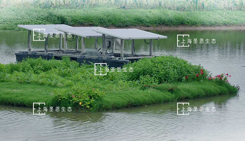 漂浮净水平台