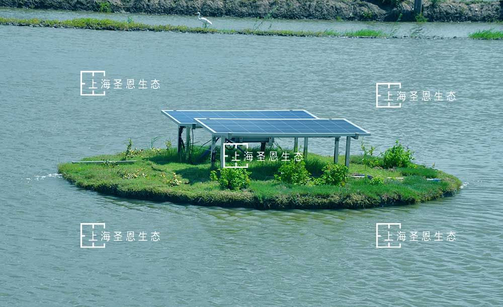 浮田型漂浮湿地与太阳能微泡曝气机组成太阳能微泡曝气漂浮净水平台