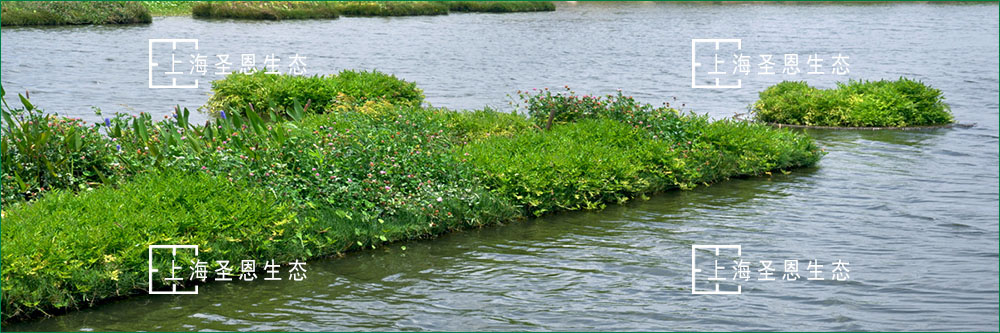 浮式处理湿地（FTWS）是由浮岛单元组成，其上有含有挺水植物的和漂浮载体。