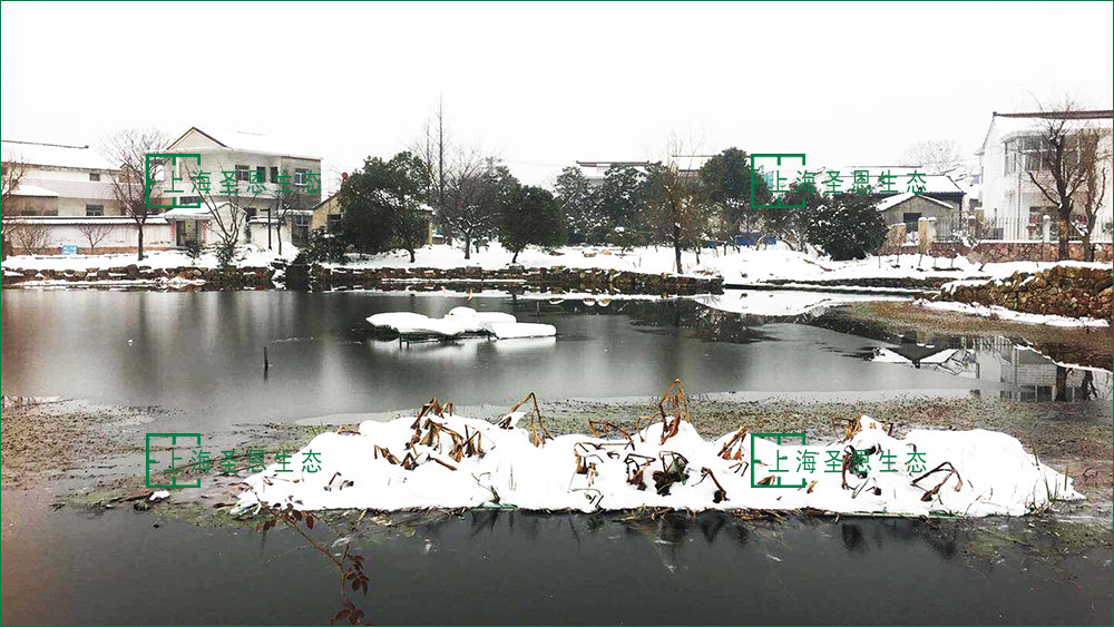 漂浮移动湿地的丝状保温层（复合纤维浮动湿地）植物可以安全越冬