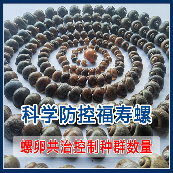 科学防控福寿螺