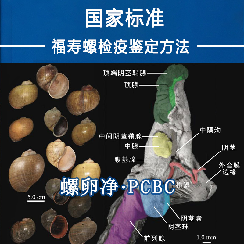 国家标准：《福寿螺检疫鉴定方法》