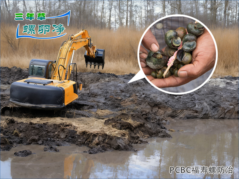 福寿螺越冬之谜：PCBC螺卵净能否终结“卷土重来”？