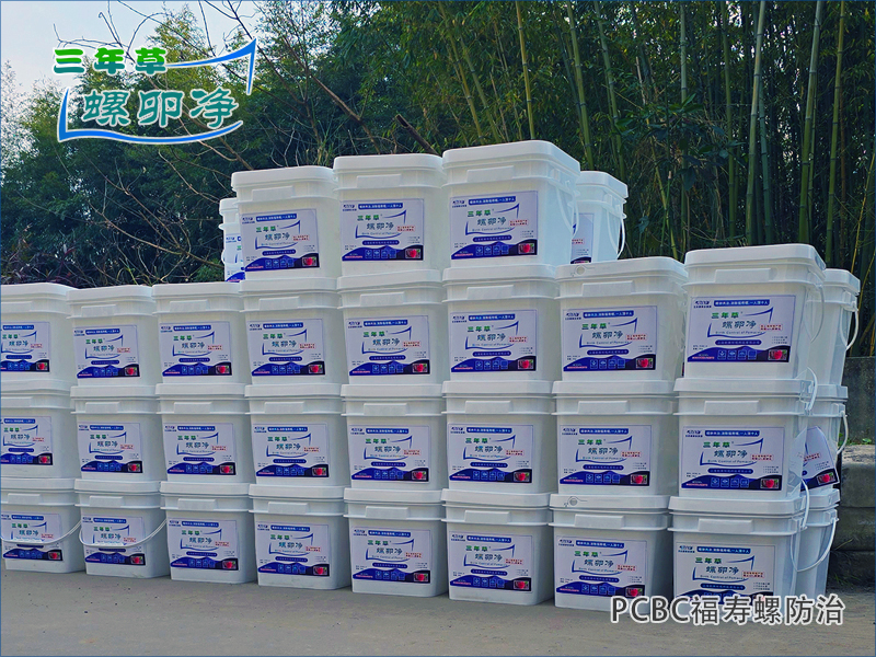 4离水着色：福寿螺产卵方式解析与&ldquo;螺卵净&rdquo;综合防控技术