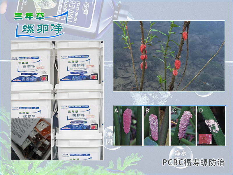 福寿螺致死温度与防控技术研究