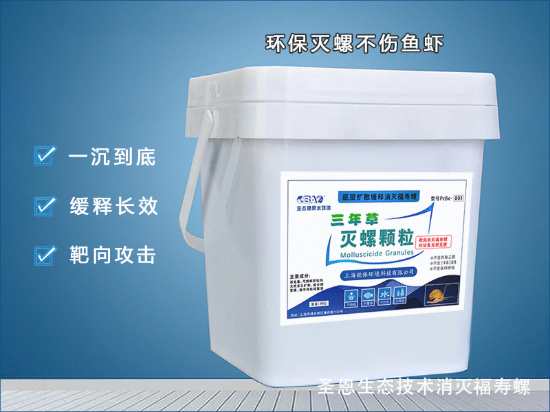 警惕！河道里的福寿螺，正在“围剿”鱼虾！一文看清二者核心关系