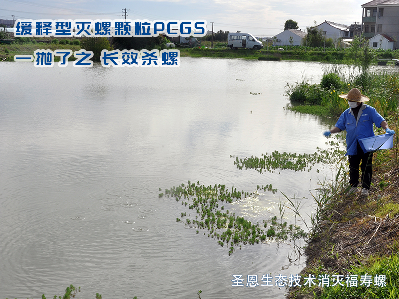 第一维：全域合围，连片剿螺