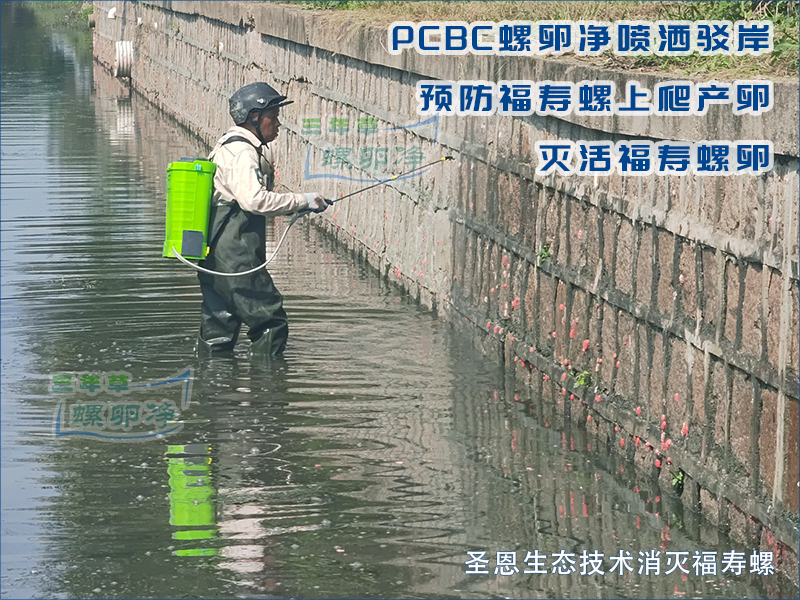第三维：清零卵块，源头控繁