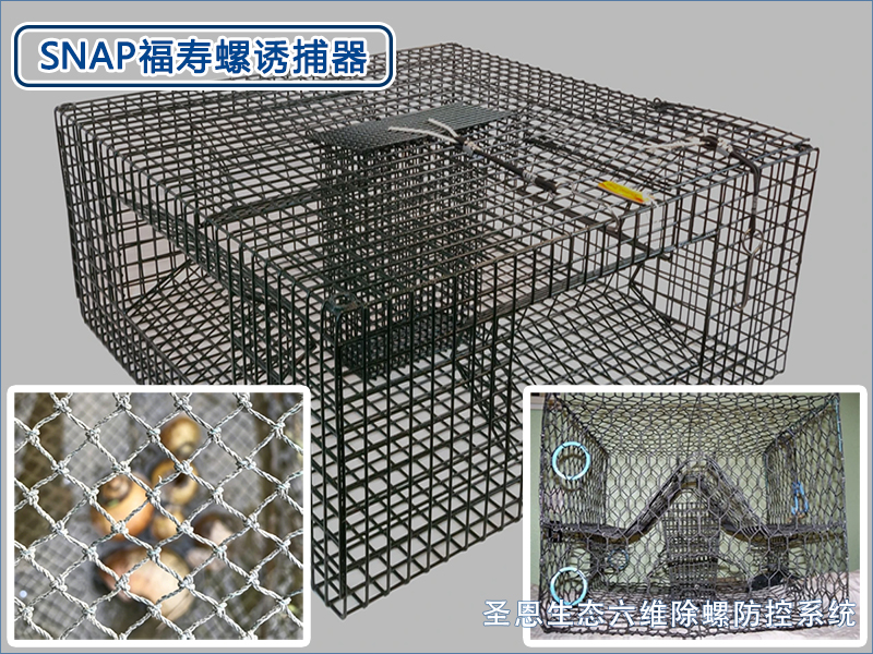 第四维：生态诱捕，无害清螺